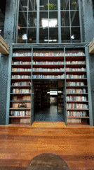 Tbilisi scenes captured: libraries, street chess, dog at shop
