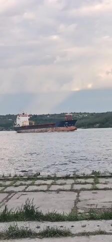 A cargo ship navigates a body of water under a cloudy sky. The ship has a rusty hull, a white and red cabin, and some dark blue sections on its bow. The water has gentle ripples, and the shore in the foreground is a concrete embankment with plants growing out of the cracks. Across the water, the opposite shore is lined with trees and some buildings, suggesting a populated area. The light is soft and diffused, typical of an overcast day.