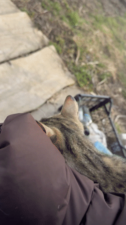 Quiet afternoon moments captured in rural Фоки, Russia