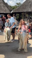 White elephant statues draw crowds at Hilvarenbeek outdoor attraction