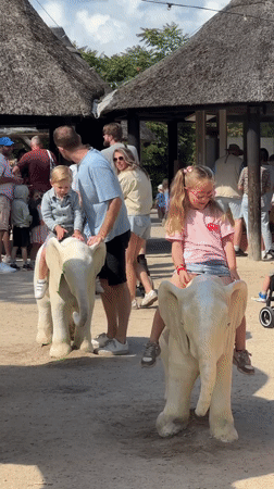 White elephant statues draw crowds at Hilvarenbeek outdoor attraction