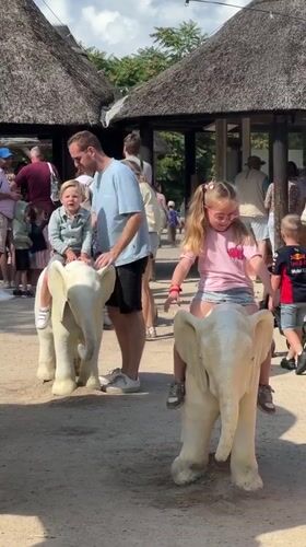 White elephant statues draw crowds at Hilvarenbeek outdoor attraction