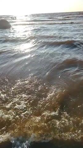 The video shows a view of a beach with waves gently lapping the shore. The water is a murky brown color, and the sky is clear and blue. There are a few people visible in the distance, some of whom appear to be swimming or wading in the water. The overall impression is one of a calm and serene beach scene on a sunny day.