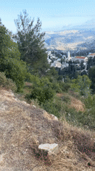 Early morning hillside view captured in Jerusalem valley