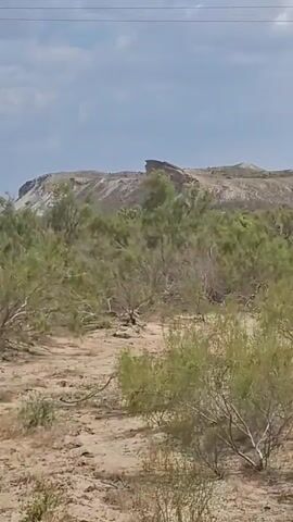 A video pans across a semi-arid landscape. In the foreground, green shrubbery sways in the wind. In the midground, a telephone pole leans precariously to the left, its wires extending upwards and out of frame. In the background, a barren, rocky hill rises against a cloudy sky. The overall impression is one of a rural or remote setting, possibly affected by harsh weather conditions.