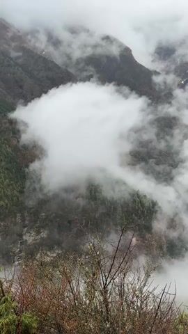 The video presents a majestic mountain landscape, likely in the Namche Bazaar region of Nepal, characterized by steep, heavily forested slopes. Dense white clouds and fog fill the valleys and cling to the mountainsides, creating a mystical and serene atmosphere. The clouds are in motion, slowly drifting and obscuring parts of the terrain before revealing dark green coniferous trees and rugged rock faces. In the immediate foreground, there are sparse branches and foliage from shrubs, with hints of reddish-brown buds, possibly indicating early spring or high-altitude vegetation. The weather is overcast and misty, and the scene is tranquil with no discernible human activity or visible text.