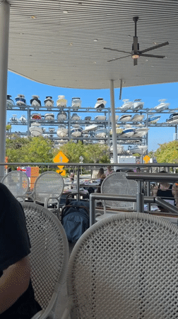 Miami diner enjoys waterfront meal overlooking boat storage facility