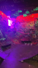 Inside a gritty, graffiti-covered Barcelona bar at night