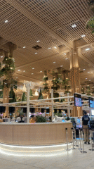 Airport interior documented in Bengaluru during afternoon operations