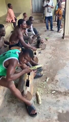 In Unwana, Nigeria, a group of men are engaged in a rhythmic activity outdoors. Several men, some shirtless and others in a green vest, are seated on a concrete ground. Each man sits before a large wooden log or stump that has been carved with a central slot, acting as a percussive instrument. They are using wooden sticks to strike these logs rhythmically. Simultaneously, they are processing long pieces of green plant material, possibly sugarcane or bamboo, by stripping and hitting them against the logs with their sticks, creating debris on the ground.

A man in a light brown outfit stands and moves among the seated men, seemingly interacting with and guiding them. Children are present, observing the activity from various positions, some seated on a raised concrete platform in the background, others standing. An adult male in jeans and a light shirt also stands observing near the children. The setting is an outdoor area next to a building with a green wall and concrete pillars, suggesting a community gathering or traditional event. The natural lighting indicates it is daytime.