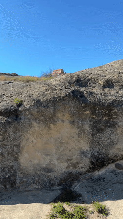 Lizard spotted on lichen-covered rock in Kvakhvreli, Georgia