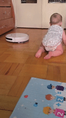 Baby, cats, and a robot vacuum share a Chaikovsky apartment