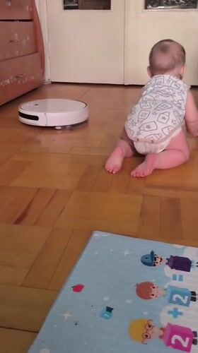 Baby, cats, and a robot vacuum share a Chaikovsky apartment