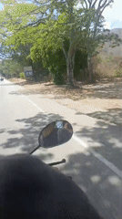 Motorcycle journey recorded on tree-lined road near Tacarigua, Venezuela