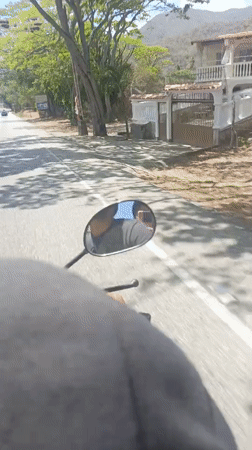 Motorcycle journey recorded on tree-lined road near Tacarigua, Venezuela
