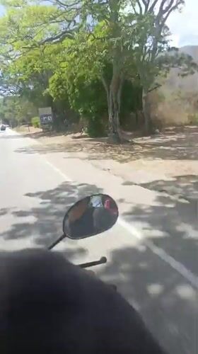 Motorcycle journey recorded on tree-lined road near Tacarigua, Venezuela