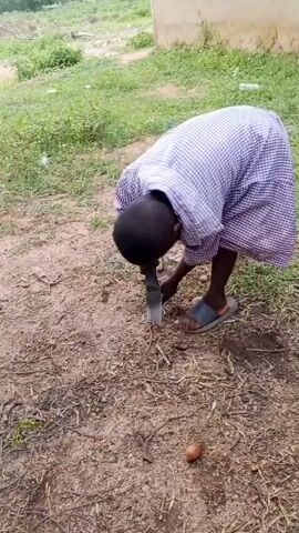 A child in a checkered shirt and shorts is digging in the dirt with a tool. An egg is visible on the ground. Another person in a purple and white checkered garment stands nearby. The scene appears to be outdoors with grass and a building in the background.