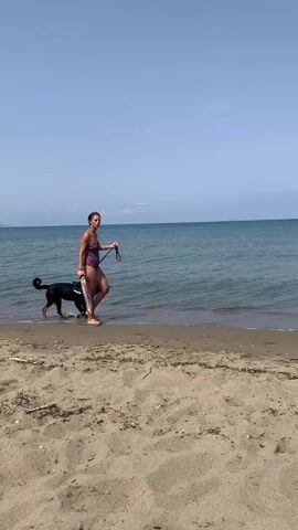 A person in a swimsuit walks a black dog on a leash along the edge of the water on a sandy beach. The person is holding a stick in their right hand. The dog is walking in the shallow water, and the person is walking on the wet sand. The sky is blue and clear, and the ocean is calm.