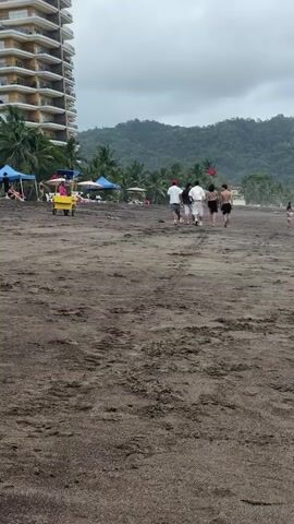 A group of five people, including three men and two women, walk away from the camera on a dark sandy beach. The man in the front right wears a white t-shirt and grey shorts. He is followed by a man in a white shirt and white shorts, then a woman in a black bikini, and finally a man in black shorts. A fifth person, a child in a red shirt, walks ahead of them. In the distance, a red flag flies from a pole. Behind the beach, palm trees and lush green hills form the backdrop under a cloudy sky. A tall, multi-story building stands on the left side of the frame. There are also several umbrellas and beach chairs set up on the sand.