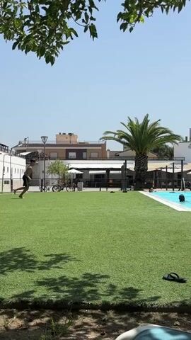 A person jumps into a swimming pool, creating a splash. The video shows a sunny day with palm trees and a grassy area next to the pool. There are other people in the pool and lounge chairs visible in the background.