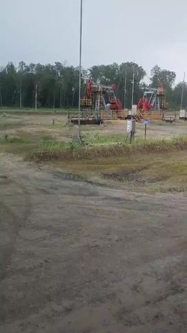 The media file captures an outdoor scene dominated by multiple operational oil pumpjacks. These distinctive machines, painted in red and yellow, are actively engaged in the process of extracting oil. The setting appears to be an oil field situated within a rural or semi-rural landscape, with a dense line of trees forming the background. The ground is a mix of dirt and sparse vegetation, suggesting an industrial site encroached upon by nature.

The time of day is indeterminate, but the overcast sky hints at either early morning or late afternoon, or potentially a period of inclement weather. The sky is a uniform grey, and there's a palpable sense of dampness or humidity in the air, which might indicate overcast or rainy conditions. There are no people visible in the frame, reinforcing the focus on the industrial machinery.

One notable object is a tall, slender pole with an antenna or sensor at its apex, positioned prominently in the foreground. There's also a small electrical box or control panel situated near the base of one of the pumpjacks. A blue and white sign is visible on a post, but the text is not legible. The overall impression is one of a functioning, albeit somewhat isolated, industrial operation within a natural environment. The lack of human presence and the consistent, rhythmic motion of the pumpjacks create a somewhat stark and industrial atmosphere. The location context provided, Ровенскаслабодскі сельскі Савет, Belarus, situates this scene within a specific geographical area.