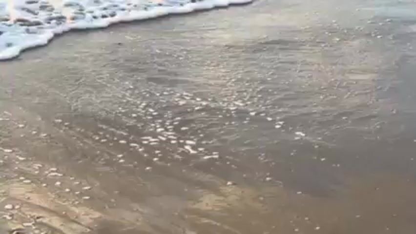 The video shows a close-up of a beach where the edge of the ocean meets the sand. Waves with white foam gently roll onto the wet sand. The sand is smooth and reflects the light. There are no people or other objects visible.