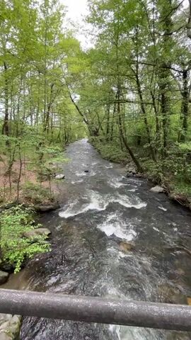 The video shows a river running through a forest, as viewed from a bridge. The river has some rapids and rocks visible in the water. The forest is green with trees on both sides of the river. The bridge appears to be a wooden pedestrian bridge with a metal railing. The camera is held at eye level, providing a view from the perspective of someone standing on the bridge. At one point, the camera quickly pans to the side, revealing a path leading off the bridge. The overall scene is peaceful and natural.