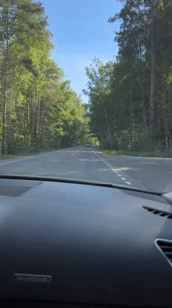 Dashboard view captures sunny forest road in rural Russia