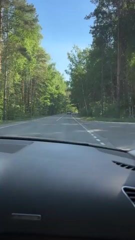The view from the dashboard of a car shows a paved road running through a forest on a sunny day. Green trees line both sides of the road, and a few birch trees are visible among them. White lines mark the center of the road. Another vehicle is driving in the same direction in the distance. The sky is blue.