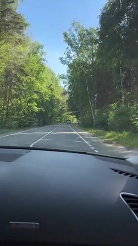 Dashboard view captures sunny forest road in rural Russia