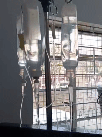 Cat receives IV treatment in Nairobi medical facility