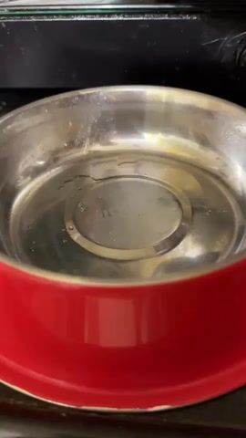 A close-up shot shows a red pet bowl with a silver insert, half-filled with water. Kibble is being poured into the bowl from a silver container. The kibble falls in a stream, piling up in the center of the bowl. The background is dark and out of focus.