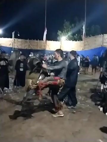 The video depicts an outdoor night scene in Jenggrik, Indonesia, where a traditional performance is taking place. In the foreground, a man wearing a dark shirt, patterned pants, and a dark sarong is actively performing with a prop resembling an animal head, possibly a horse or bull, in a crouched and dynamic posture. Another man in a dark suit-like outfit with a yellow cloth on his head stands to his left, observing.

Numerous spectators, mostly men in casual attire (some in white shirts, others in dark), are gathered around the performance area, which has a dirt or muddy ground. In the background, a temporary structure made of wooden planks or bamboo and blue tarpaulin sheets is visible, illuminated by overhead lights. Two flags, one white and one red and white (possibly an Indonesian flag), are hoisted on poles in the distance. The overall atmosphere suggests a community gathering or cultural event occurring at night. No clearly legible text is visible on clothing or banners.