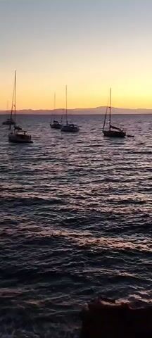The video shows a tranquil scene of several sailboats anchored on the water during sunset. The sky displays a gradient of warm colors, transitioning from a pale yellow near the horizon to a soft blue at the top. The water is dark and rippled, reflecting the sky's colors. The sailboats, varying in size, are scattered across the frame. Some are closer to the foreground, while others are further out, appearing smaller against the vast expanse of the ocean. The overall atmosphere is peaceful and serene.
