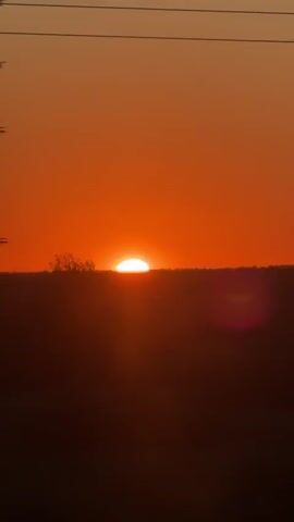 The video shows a sunset with the sun partially obscured by trees and utility lines. The sky is orange and the sun is a bright ball of light. The trees are silhouetted against the sky. The video is filmed from a moving vehicle, as indicated by the blurred foreground and the movement of the trees and utility lines.