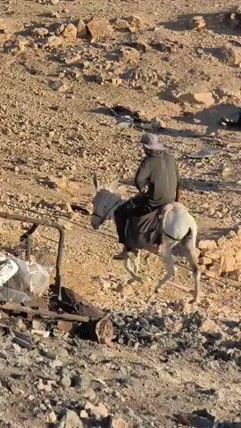 A person wearing a hat and dark clothing rides a white donkey up a steep, rocky, desert slope. The donkey is partially covered by a dark blanket. A makeshift cart or trailer with rusted metal components and debris is positioned in the foreground, partially obscured by the terrain. The background consists of arid, rocky hills with scattered stones and sparse vegetation.