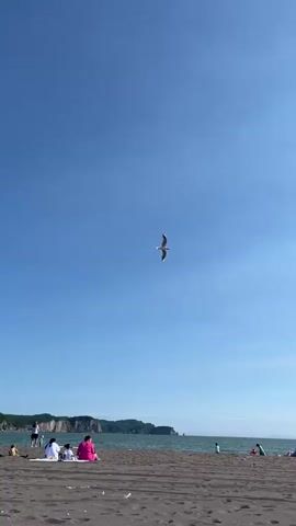 A bird flies across a bright blue sky above a sandy beach. The ocean is visible in the background, with a distant shoreline and mountains. Several people are sitting or lying on the beach in the lower part of the frame.