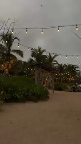 The scene is a sandy beach, potentially a resort area, at dusk. The sky is overcast. A wooden structure with a peaked roof, likely a decorative element or a small shelter, is centered in the frame. Palm trees are visible in the background, with string lights hanging overhead creating a festive atmosphere. Some lounge chairs are partially visible on the right. There is a dense bush on the left side of the frame, adding to the tropical feel.  A bird flies overhead.
