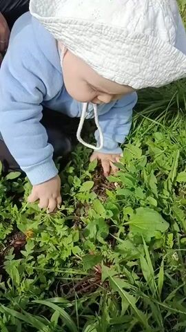 A baby wearing a white hat and a light blue long-sleeved shirt is on their hands and knees in a patch of green grass and weeds. The baby is looking down, interacting with the grass with their hands.  A white string hangs from the baby's hat and is near their mouth.