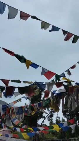 The video shows prayer flags strung across an outdoor area. The flags are of various colors and designs, and they are blowing in the wind. The sky is overcast, and there are trees in the background.