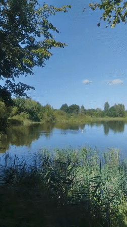 Пашкаўскі сельскі Савет, Belarus