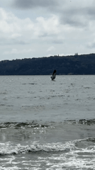 Windsurfer navigates choppy waters off Varna, Bulgaria coast