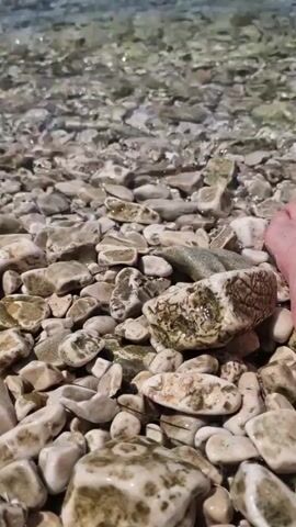 The video shows a close-up view of a rocky shore with clear water lapping at the pebbles. The camera is positioned low, near the water's edge. In the upper right corner, a human foot is visible, suggesting someone is standing or sitting in the shallow water. The rocks are smooth and varied in size and color, with some appearing wet and glistening from the water. The water itself is transparent, allowing the underwater rocks to be seen. The overall scene is tranquil and natural, focusing on the interaction between the water and the rocky beach.