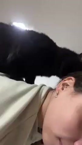 A black cat is standing on a person's torso. The camera angle is low and close to the person, focusing on their face and the cat. The person is lying down and looking slightly up at the cat. The cat sniffs at the person's hair and face. The background is blurred and appears to be a room with white walls and a light fixture.