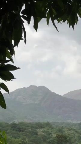 The video shows a mountain landscape seen through the leaves of a tree. The leaves are dark green and frame the top portion of the video. In the distance, a large, rocky mountain with sparse vegetation is visible. The sky is overcast with light gray clouds. The foreground and middle ground are filled with lush green trees and foliage. A few scattered structures or dwellings can be seen in the valley below the mountain, suggesting a rural or undeveloped area. The lighting suggests it is daytime, possibly early morning or late afternoon, or during a cloudy period. There are no people or animals explicitly visible. The overall impression is of a serene and natural landscape.