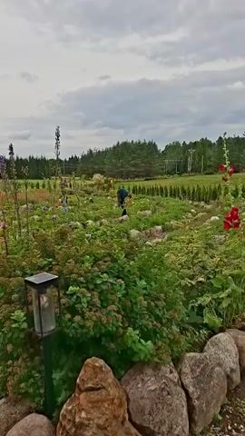 A drone camera pans across a garden with a small, wooden, hexagonal building with a weather vane. The building has windows and a door. A pathway made of wood chips leads to the building. The garden is filled with various flowers and greenery, with rocks lining the pathway and garden beds. Solar-powered garden lights are visible. In the background, there are trees and a cloudy sky. A person in dark clothing, possibly gardening, is visible in the distance.