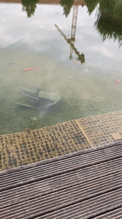 Rainbow appears over German town after storm, chair submerged