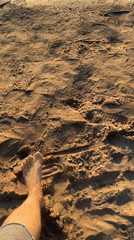 Metal detecting and sunset vibes on a Kremenchuk riverbank