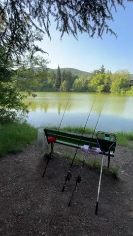 A static, eye-level outdoor scene captures a fishing setup by a calm lake. The immediate foreground consists of dark, exposed soil. A green wooden park bench is positioned centrally. Three black fishing rods, each with a reel, are set up in front of the bench; two are on bipod stands, and one leans directly against the bench. A red object is on the left end of the bench. A silver-handled fishing landing net with a black mesh stands at the right end of the bench. A white cloth or bag is placed on the bench between the fishing rods and the net. The lake's surface is a still, greenish-yellow, reflecting the sky and surrounding foliage. The far bank of the lake is densely covered with various green trees, with rolling green hills visible in the distance under a clear blue sky. Dark, bare tree branches partially frame the top of the shot. No individuals are present.