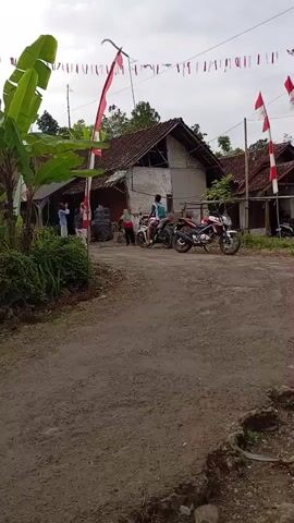 The video shows an outdoor scene on a dirt road in front of several rural houses. Red and white Indonesian flags are displayed on poles and strung across the road, suggesting a celebration or national holiday. Banana trees are visible on the left side of the frame. Several people are present near the houses, and two motorcycles are parked on the road. One person appears to be sitting on a motorcycle. The environment appears to be a village or rural area with modest housing. The sky is cloudy.